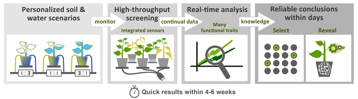 First in Functional Phenotyping