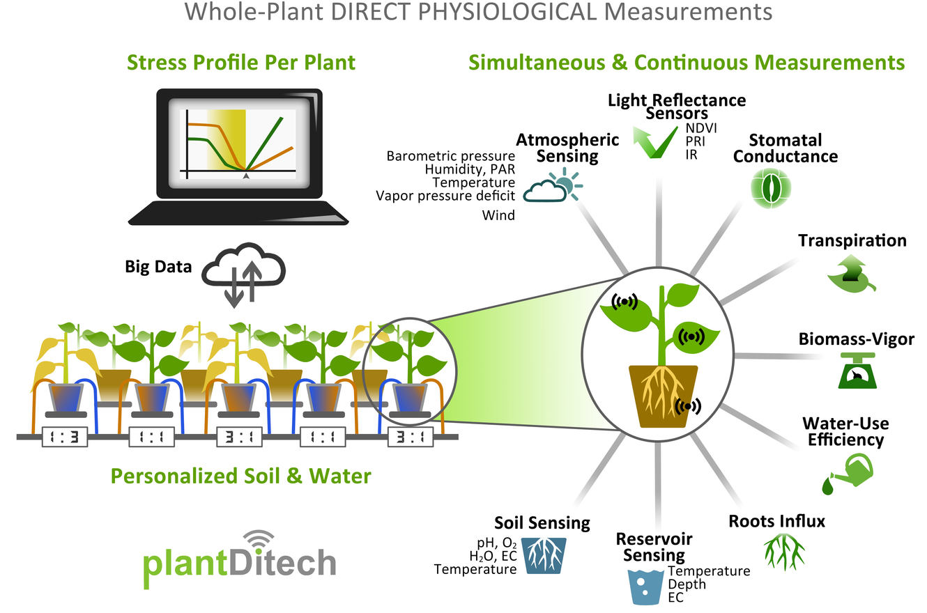 Plantarray puts the plant-environment puzzle together 