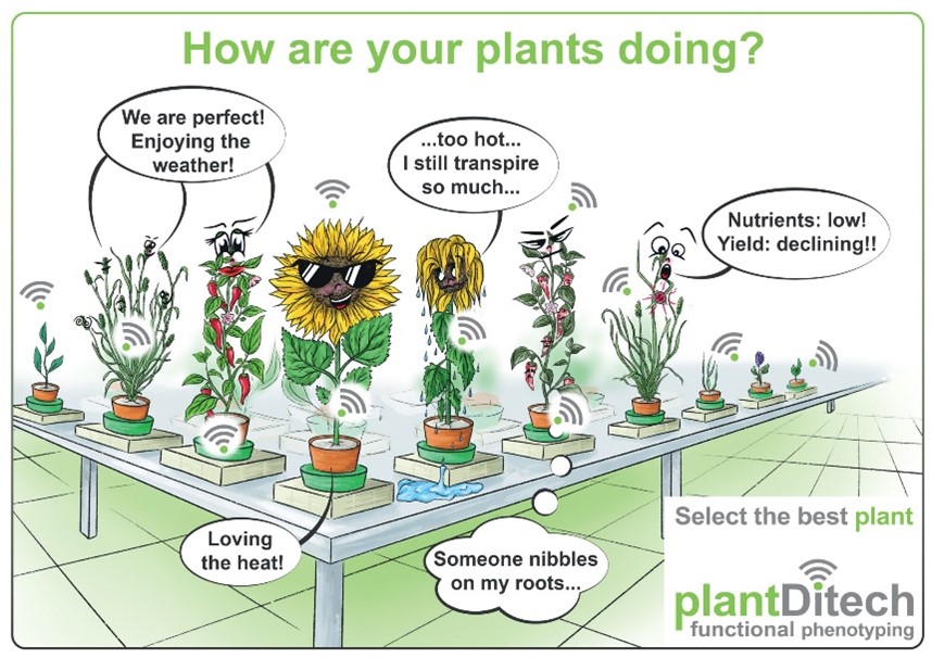 how are your plants doing