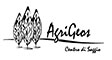 agrigeos_logo