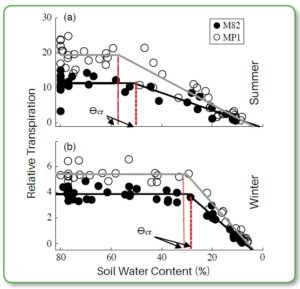 Figure 2. Two tomato cultivars whole-plant transpiration as a function of Soil Water Content over the entire period of (a) a summer and (b) winter drought experiments. Significantlly different drought critical point (Ɵcrit) has been found between the two culivars and in different environmental conditions. Modified from Halperin et al., The Plant J. 2016